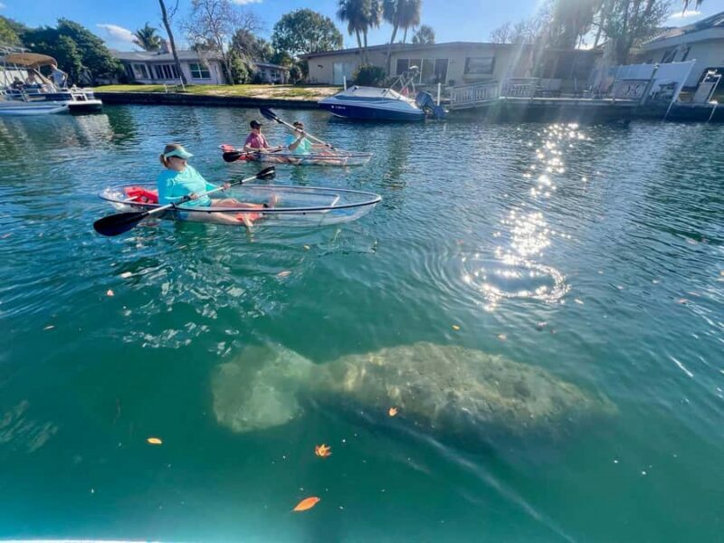Crystal River: Clear Kayak Manatee Tour w/Free Photo Package - Final Thoughts