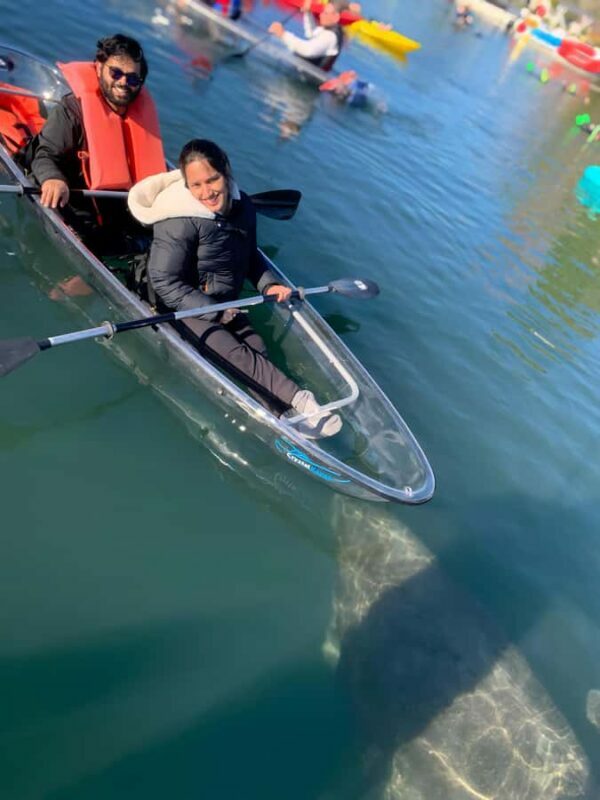 Crystal River: Clear Kayak Manatee Tour w/Free Photo Package - FAQ