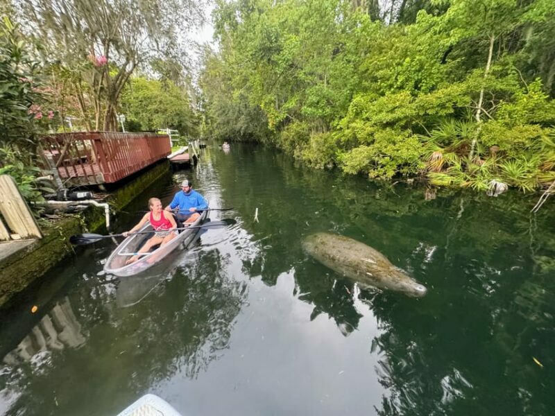 Crystal River Clear Kayak Sunset & Night Glow Tour - FAQ