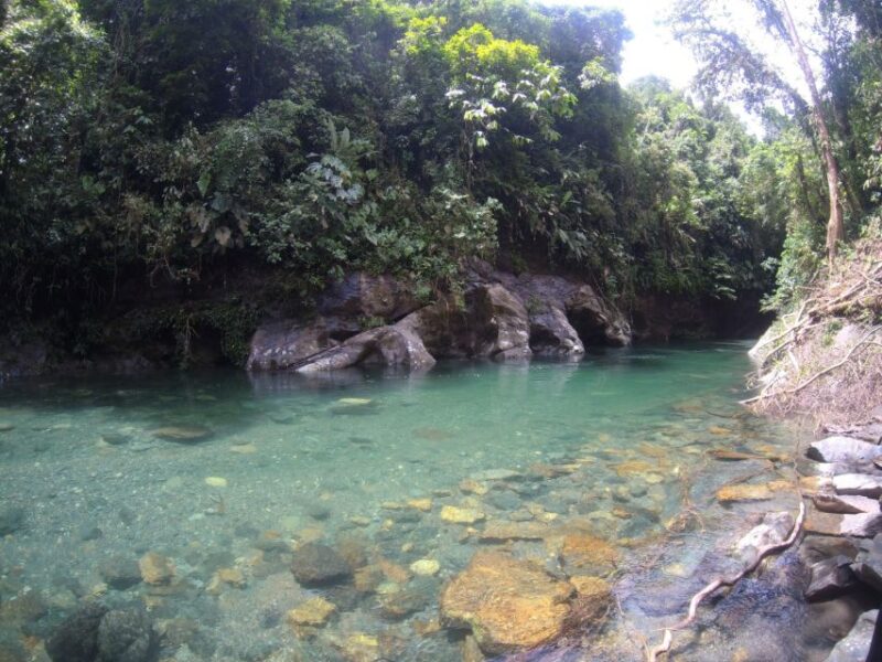 Crystal River: Crystalline Waters, Stunning Landscapes - What to Bring