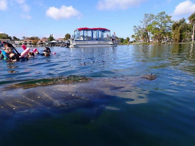 Crystal River: Guided Manatee Tour Heated Boat Free Photos - An Authentic Look at the Crystal River Manatee Tour