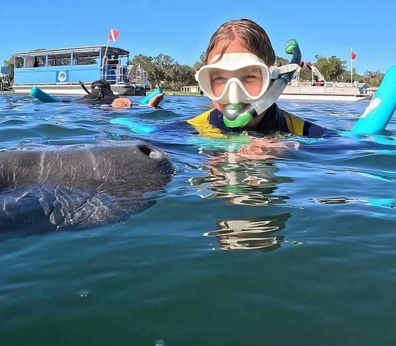 Crystal River: Guided Manatee Tour Heated Boat Free Photos - Final Thoughts