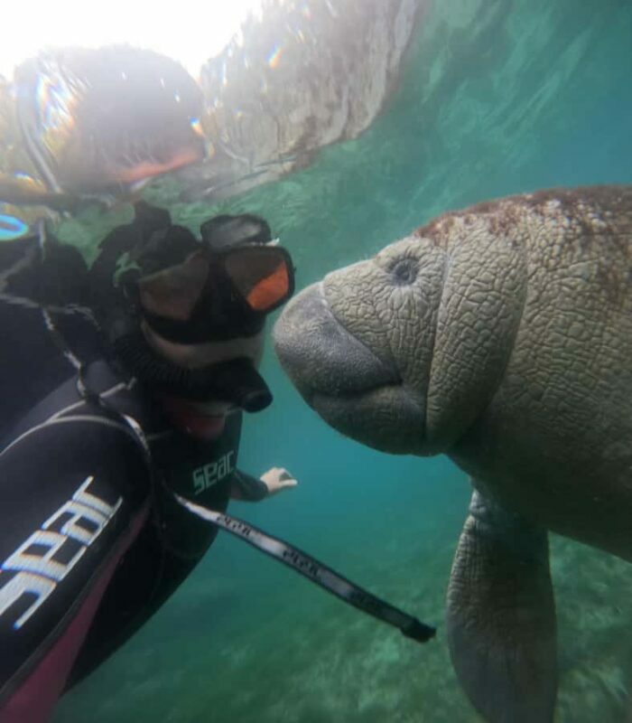 Crystal River: Guided Manatee Tour Heated Boat Free Photos - FAQs