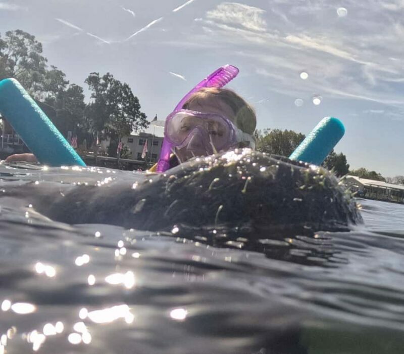 Crystal River: Guided Manatee Tour Heated Boat Free Photos - Final Word