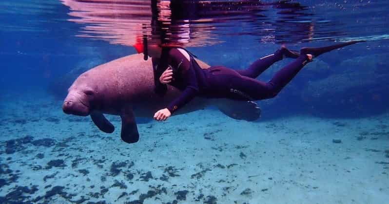 Crystal River: Kayak and Swim With Manatees Tour - Tour Details and Inclusions