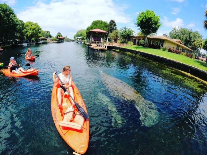 Crystal River: Kayak Rental - Details of the Rental