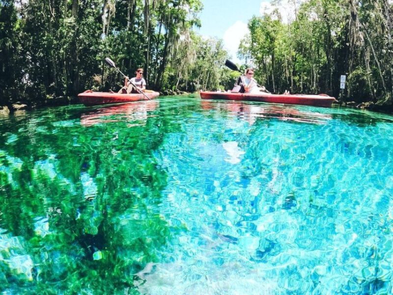 Crystal River: Kayak Rental - What to Expect and Bring