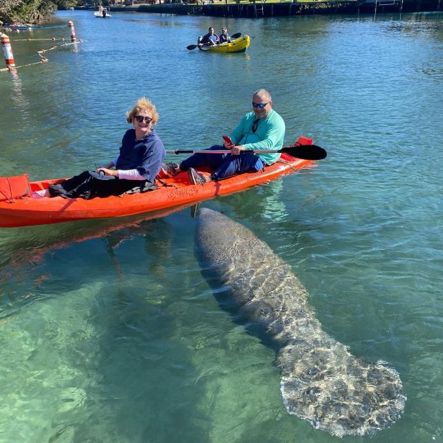 Crystal River: Kayak Rental - Frequently Asked Questions
