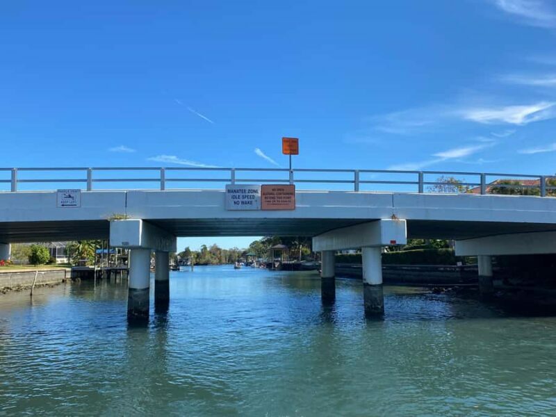 Crystal River: Manatee Eco-Tour Boat Ride - A Personal Look at the Eco-Tour Experience