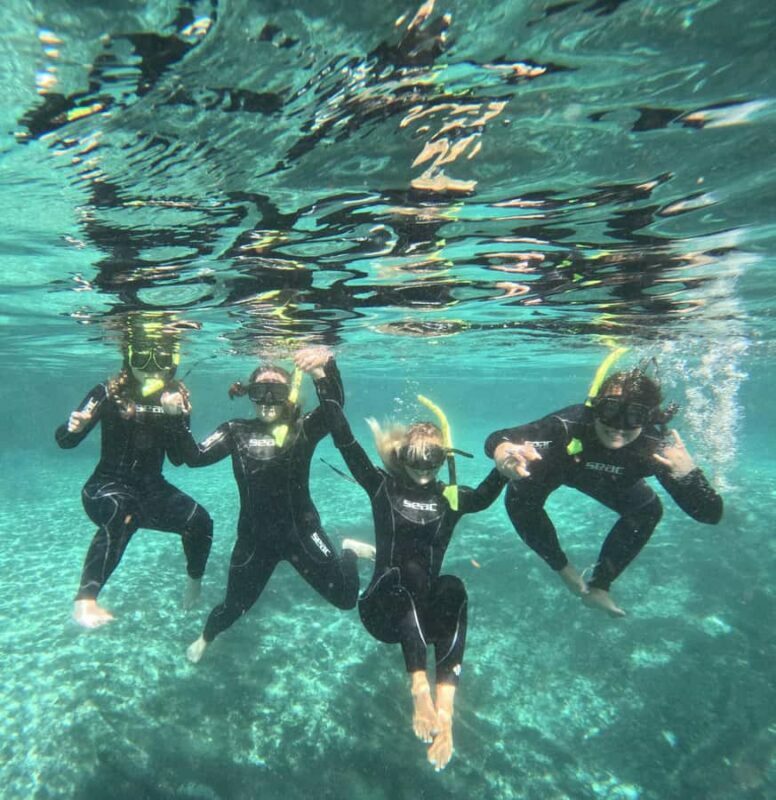 Crystal River: Manatee In-Water Snorkel Tour - An In-Depth Look at the Crystal River Manatee Snorkel Tour
