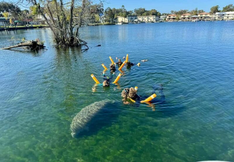 Crystal River: Manatee In-Water Snorkel Tour - Final Thoughts — Is It Worth It?