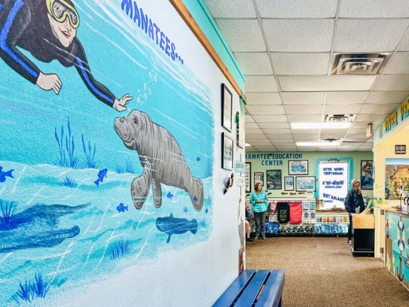 Crystal River: Manatee Snorkel Tour W/ In-Water Photographer - Wildlife Interaction and Safety