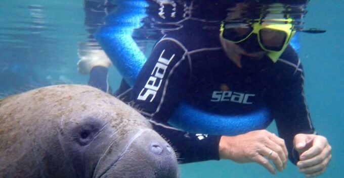 Crystal River: Manatee Snorkel Tour W/ In-Water Photographer - About the Tour Operator