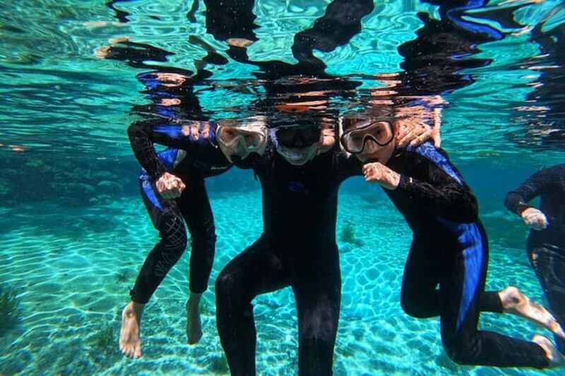Crystal River: Manatee Swim Tour - Key Points