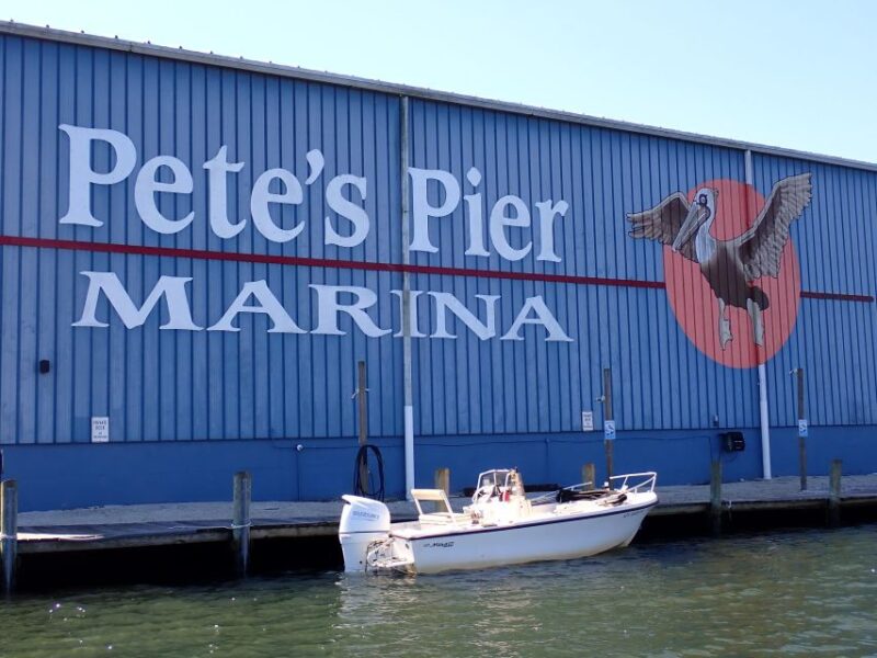 Crystal River: Manatee Viewing Cruise - Booking and Cancellation