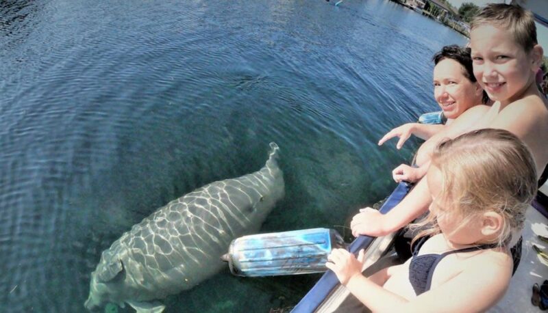 Crystal River: Manatee Viewing Cruise - Wildlife and Ecology