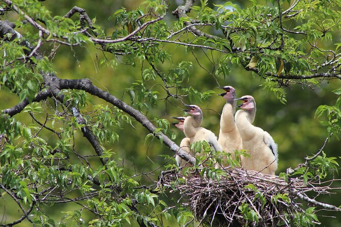 Crystal River National Wildlife Refuge Sightseeing Cruise - Customer Reviews and Feedback