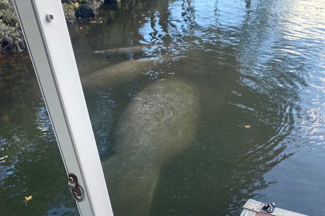 Crystal River: Private Manatee Boat Tour - Exploring the Crystal River Ecosystem