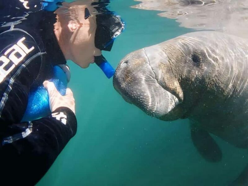 Crystal River: Semi-Private Manatee Swim With Heated Boat - An In-Depth Look at the Tour