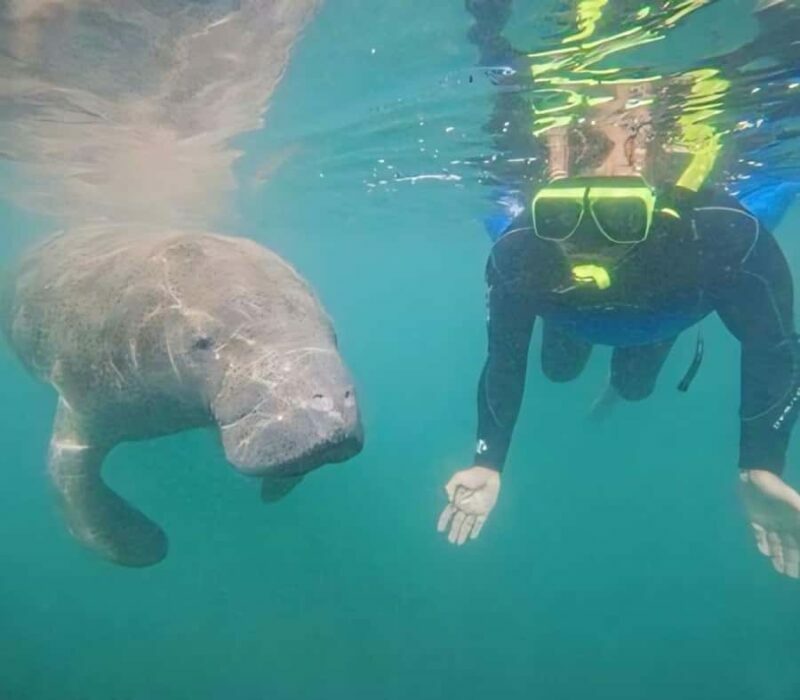 Crystal River: Semi-Private Manatee Swim With Heated Boat - FAQ