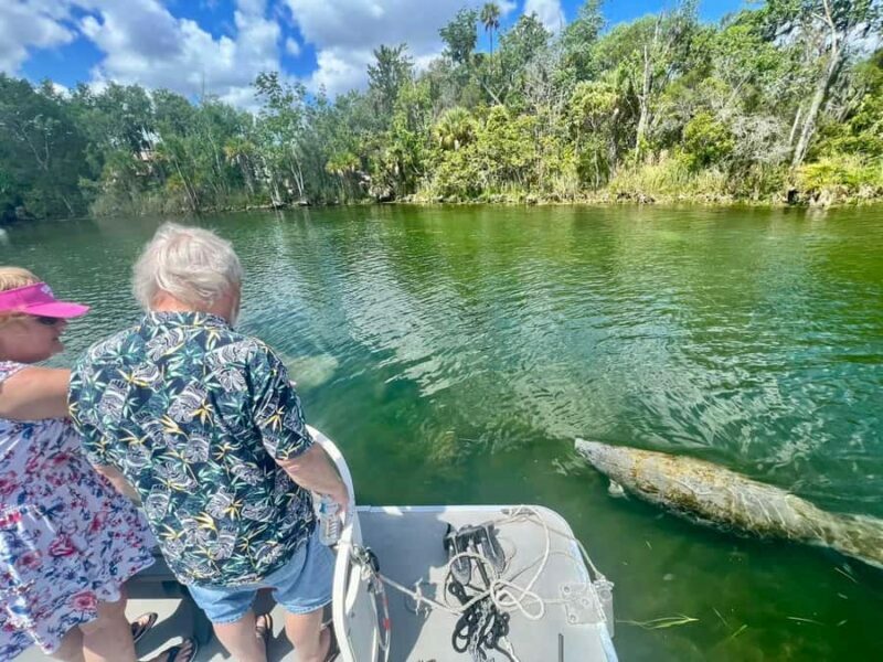 Crystal River: Small-Group Manatee Snorkeling Tour - Key Points