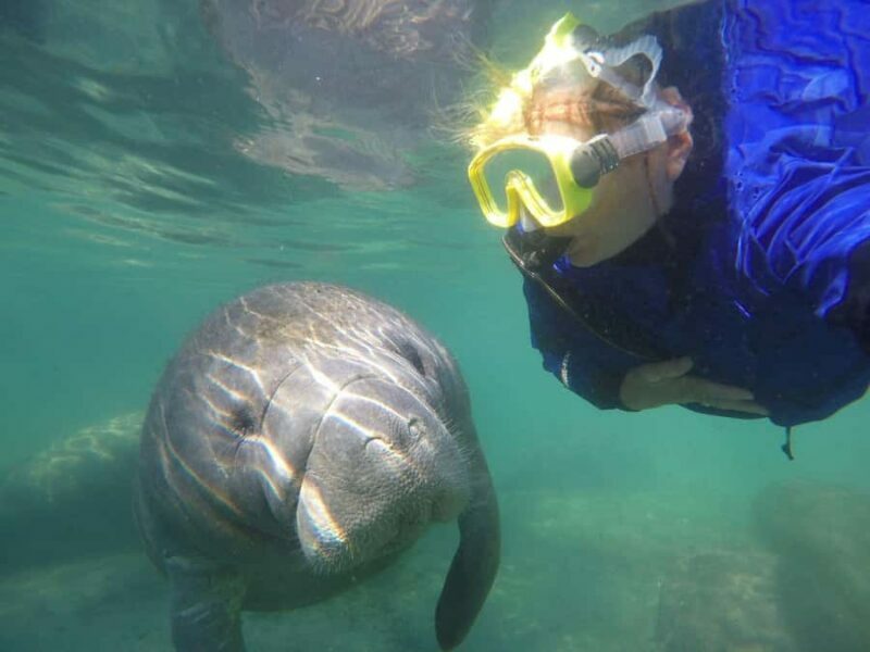 Crystal River: Small-Group Manatee Snorkeling Tour - The Itinerary Breakdown