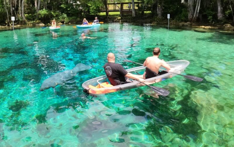 Crystal River: Springs and Manatees Clear Kayak Tour - Whats Included and Meeting Point