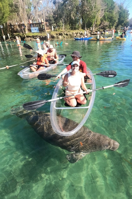Crystal River: Springs and Manatees Clear Kayak Tour - Cancellation and Refund Policy