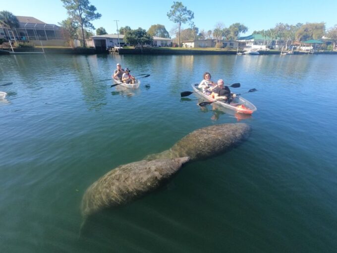 Crystal River: Springs and Manatees Clear Kayak Tour - Reservation and Payment Options