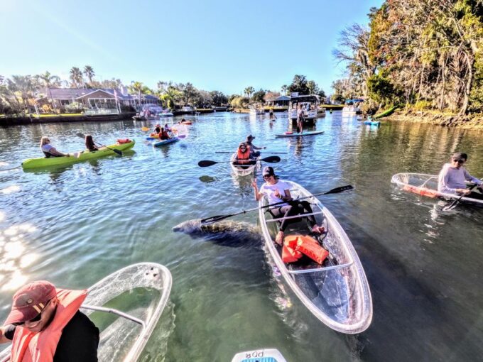 Crystal River: Springs and Manatees Clear Kayak Tour - Frequently Asked Questions