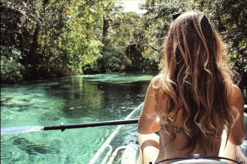 Crystal River: Three Sisters Springs Eco Tour by Clear Kayak - The Value of the Experience