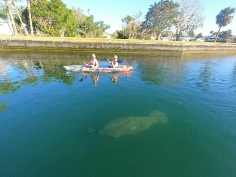 Crystal River: Three Sisters Springs Eco Tour by Clear Kayak - Who Should Book This Tour?