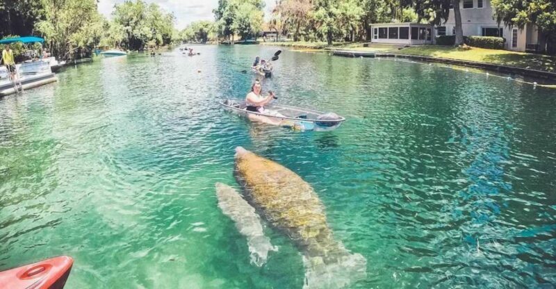 Crystal River: Three Sisters Springs Eco Tour by Clear Kayak - FAQ