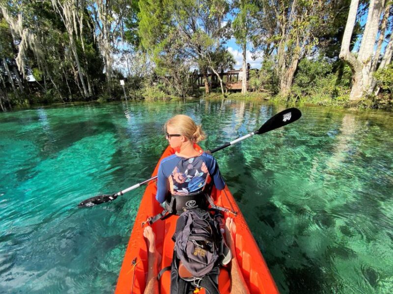 Crystal River: Three Sisters Springs Guided Kayak Tour - Key Points