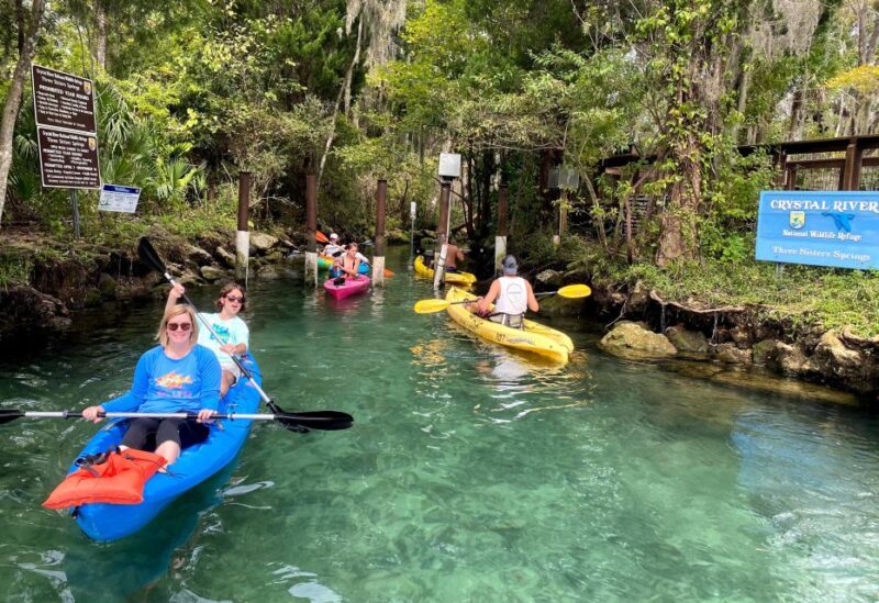 Crystal River: Three Sisters Springs Guided Kayak Tour - Inclusions and Restrictions