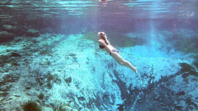 Crystal River: Three Sisters Springs Guided Kayak Tour - Getting to the Launch Site