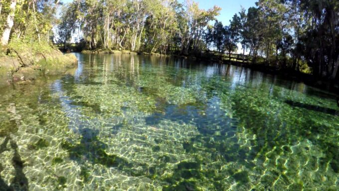 Crystal River: Three Sisters Springs Guided Kayak Tour - Frequently Asked Questions