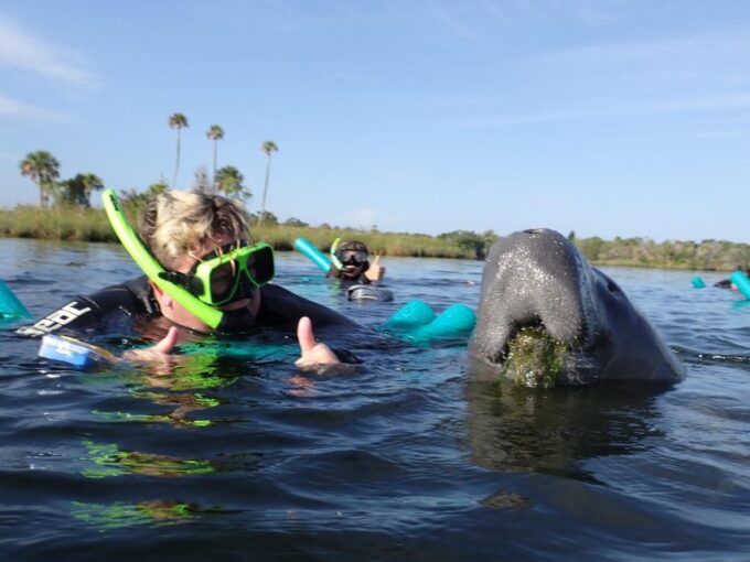 Crystal River: VIP Manatee Swim W/ In-Water Photographer - Customer Ratings