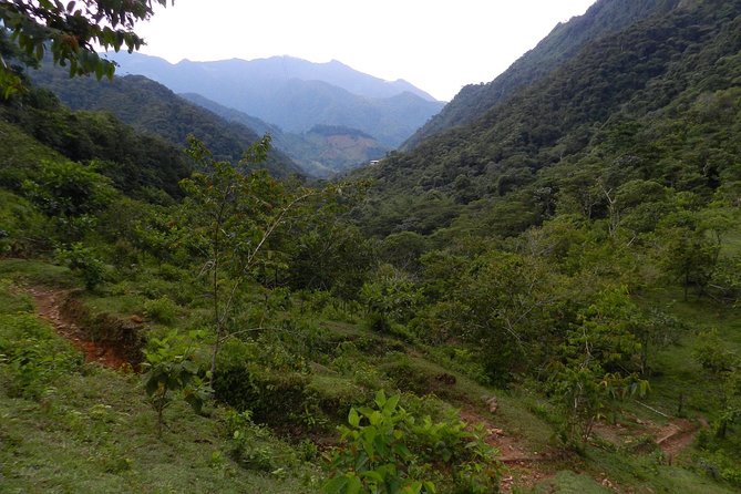 Crystal Rivers Trekking - Traveler Experiences and Highlights