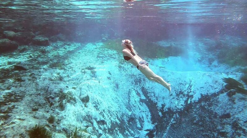 Crystal River:Three Sisters Springs Guided Kayak & Swim Tour - What Makes This Tour Stand Out?