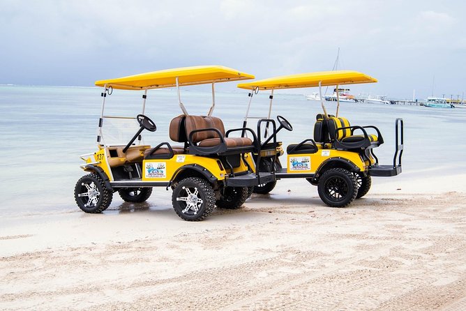 C&S (4 Seater) Golf Cart Rentals - Competitive Pricing Compared to Resorts