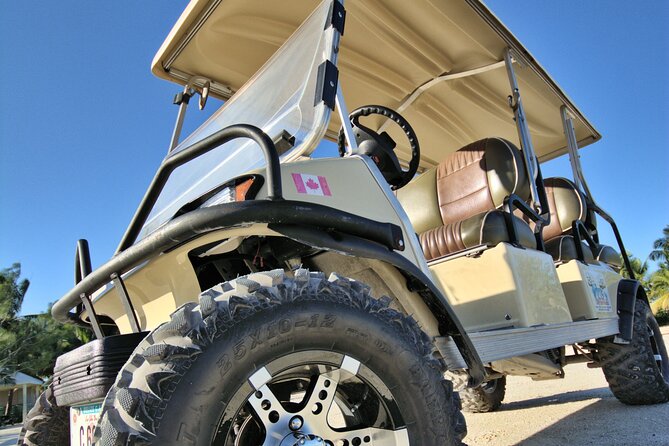 C&S 6 Seater Golf Cart Rental - Rental Overview