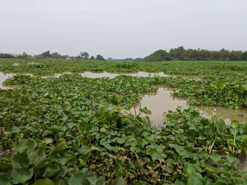 Cu Chi Tunnels & Mekong Delta Private Tour Full Day - Key Points