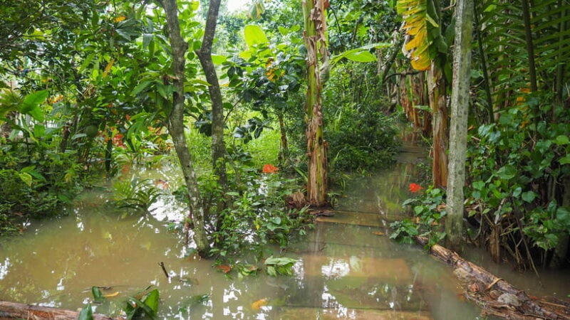 Cu Chi Tunnels & Mekong Delta Private Tour Full Day - Tour Overview