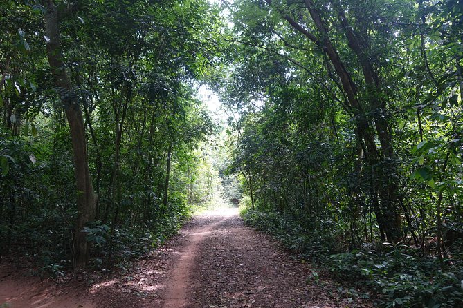 Cu Chi Tunnels Private Half-Day Tour - Cancellation and Selling Out