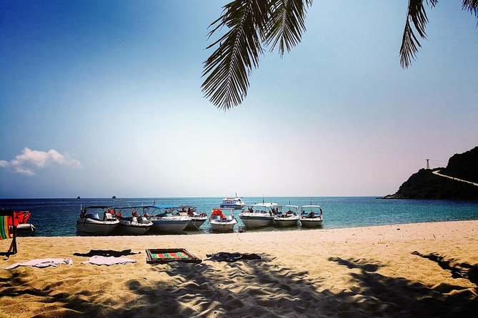 Cu Lao Cham Island Tour From Da Nang - Inclusions