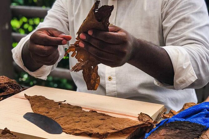Cuban Cigar Master Class & Beach Break® With Transfer - Reviews and Experiences