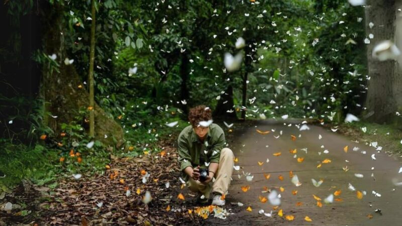 Cuc Phuong National Park Group Day Tour In Ninh Binh - Itinerary Highlights