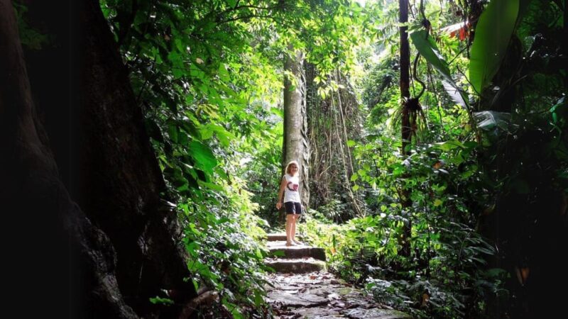 Cuc Phuong National Park Group Day Tour In Ninh Binh - Cave of Prehistoric Man