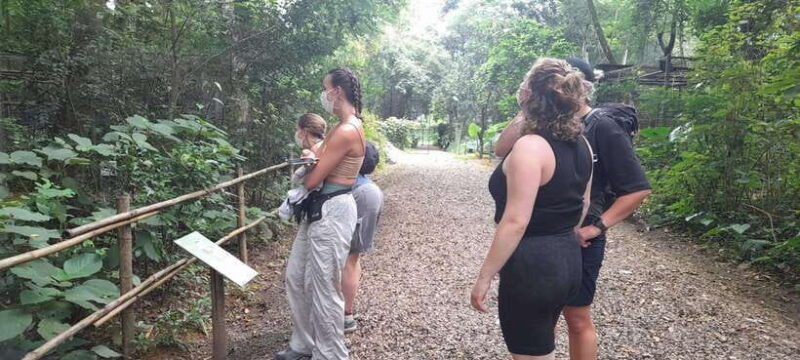 Cuc Phuong National Park Hiking Tour - Itinerary Highlights